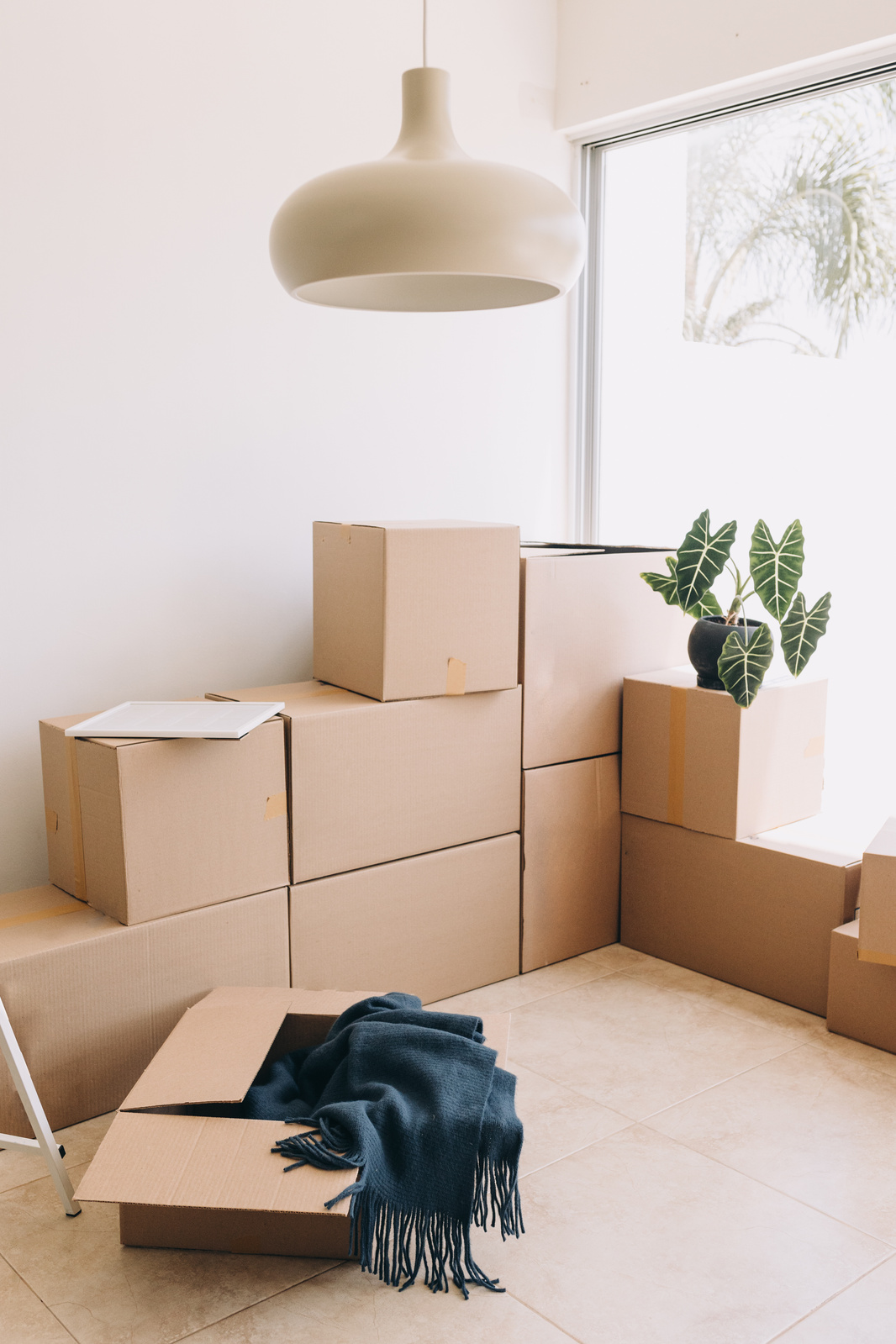 Moving In Moving Boxes in a House